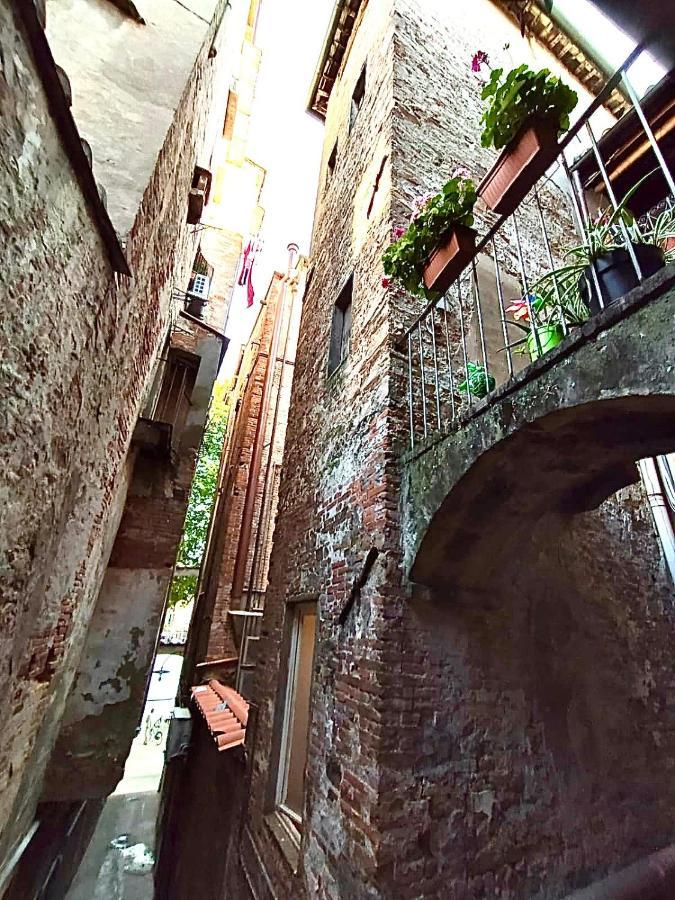 Piazza Napoleone Sweet Apartment لوكا المظهر الخارجي الصورة